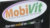 mobi-vit